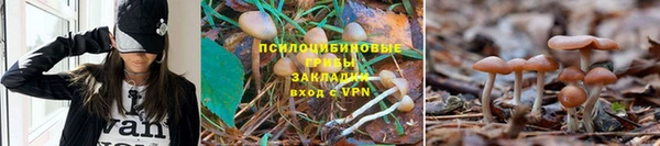 спайс Гусиноозёрск