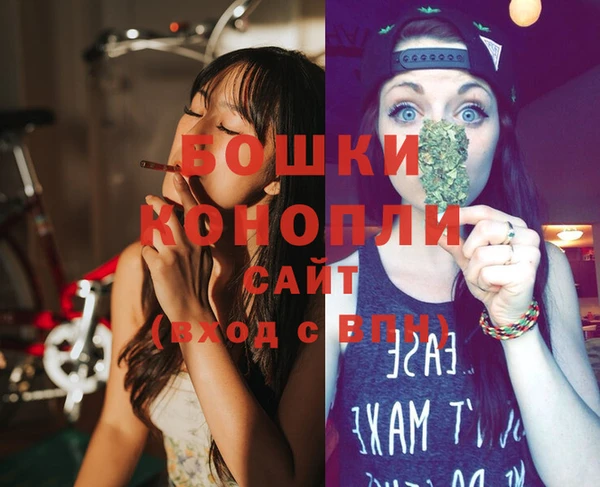 СК Гусь-Хрустальный