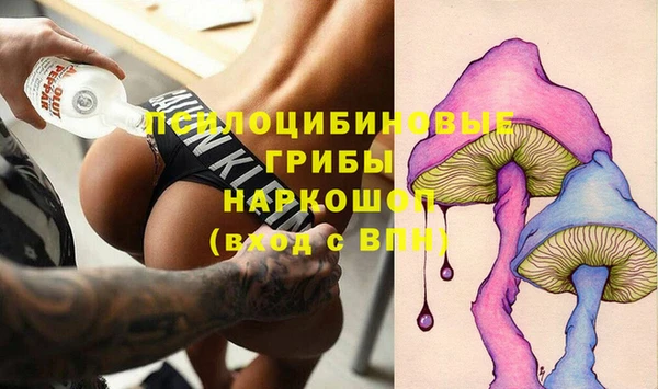 СК Гусь-Хрустальный