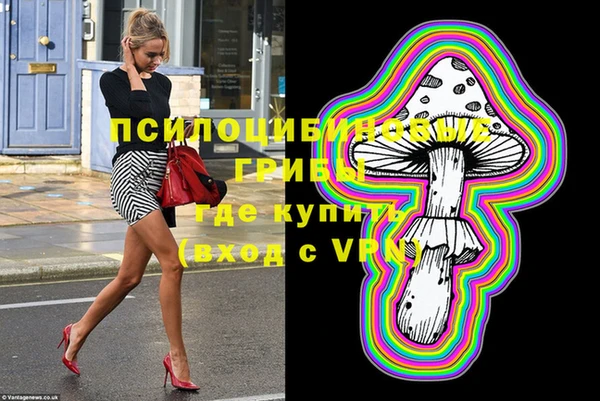 СК Гусь-Хрустальный