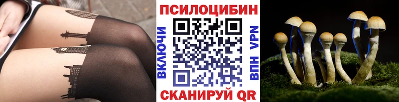 Купить где  Ржев  Псилоцибиновые грибы мицелий 