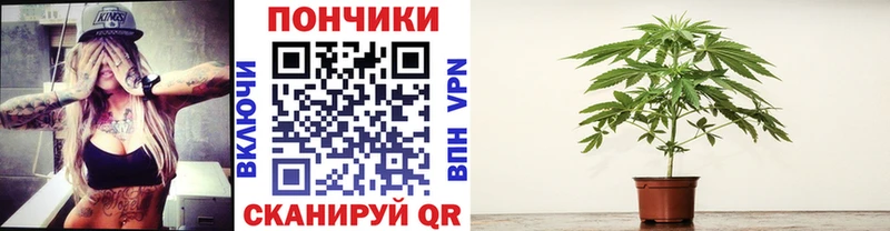 Каннабис гибрид  Купить  Ржев 